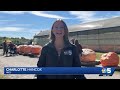 Annual giant pumpkin weigh-in draws competitors from across the region