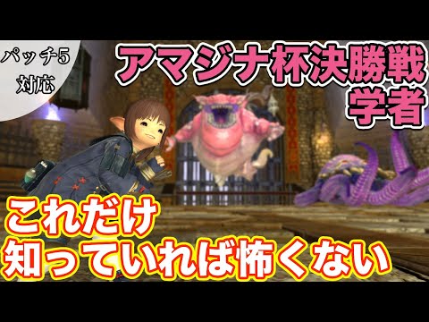 【FF14】アマジナ杯闘技会決勝戦に学者(ヒーラー)で挑戦【これだけ知っていれば怖くないヒーラー編 2021年版】