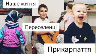 ОПЕНЬКИ на подвір&#39;ї. ЗИМА БЛИЗЬКО. НАШЕ ЖИТТЯ в селі на ПРИКАРПАТТІ. ПЕРЕСЕЛЕНЦІ.