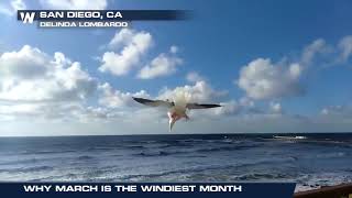 Why March is So Windy