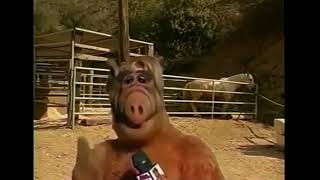 The ALF / Mister Ed Crossover