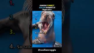 Ranking Sea Lion Reggie Moments 🦭
