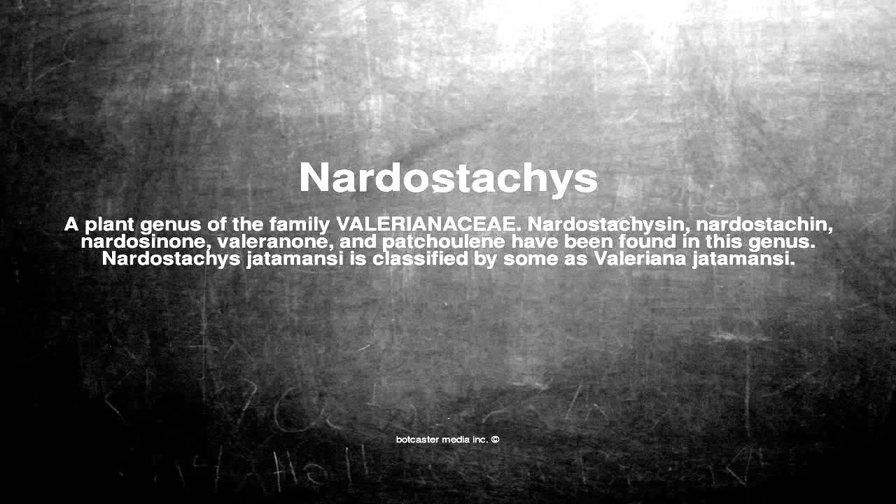 Medical vocabulary: What does Nardostachys mean