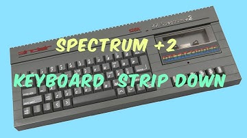 Sinclair ZX Spectrum 128K Grey +2 Keyboard Strip Down