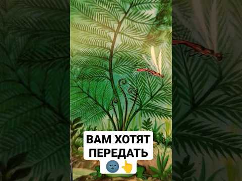 ВАМ ХОТЯТ ПЕРЕДАТЬ🌚👆#шуратаро#послание#