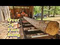 Sawing up a big stick on the Timberking 2220