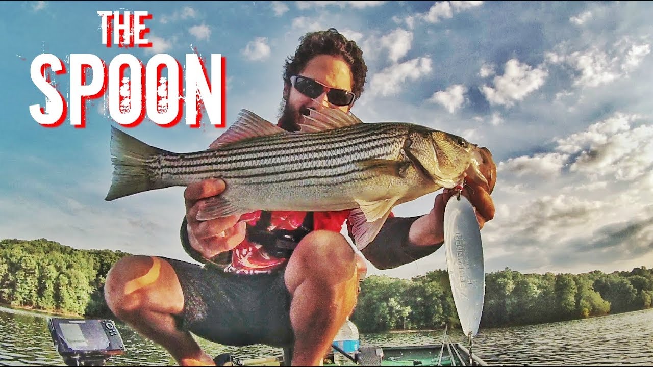 How to Catch Striped Bass with Spoon Lures