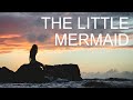 The Little Mermaid | Hans Christian Andersen | Narrated By Geoff Castellucci