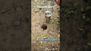 This Amazing Tool Can Move a Tree in Seconds! #youtubeshorts #shortsfeed #short #ytshorts