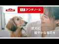 ベッツペッツ・アンチノール® ｜テレビCM【ワンちゃん編】