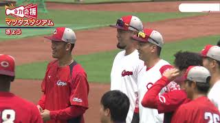 交流戦チーム打率１位のカープ　２７日ペナントレース再開　好調大盛穂選手に意気込み聞く　【球団認定】カープ全力応援チャンネル