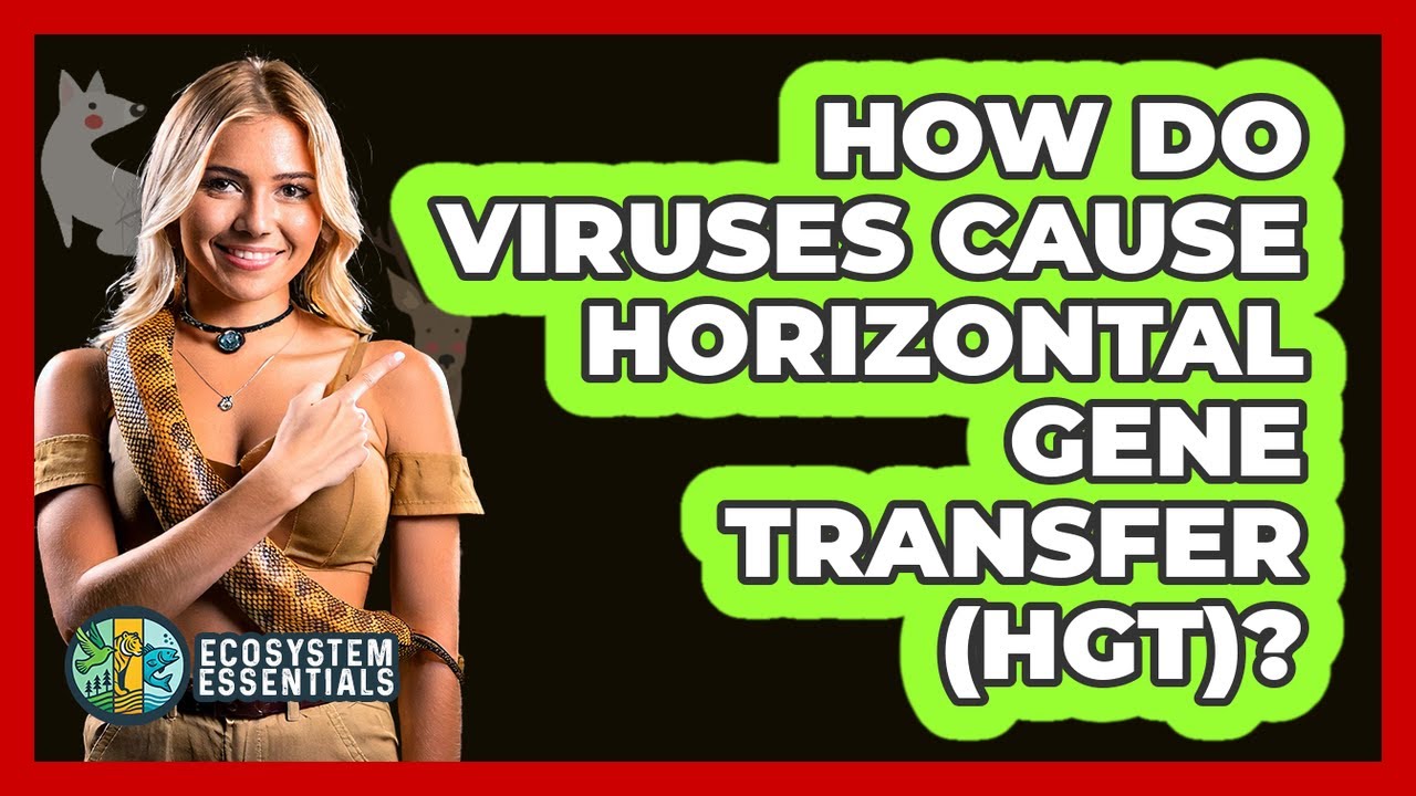 How Do Viruses Cause Horizontal Gene Transfer (HGT)? - Ecosystem Essentials