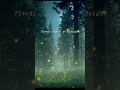 A Quiet Forest for Overthinking Minds 🌙✨Anxiety Relief &amp; Relaxing Night Ambience #shorts
