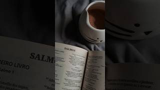 Vlog Cozy Christmas Vibe Day