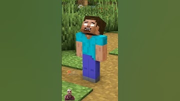 Wither Skeleton Attack Villagers on 1000 PING #minecraft #minecraftanimation #roblox