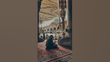لا تيأس… فإن الفرج قريب بإذن الله #قران_كريم #لا_تيأس #خواطر #تلاوة_خاشعة #سورة_يوسف #quran #اكسبلور