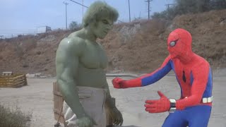 The Incredible Hulk and Spider-man TV Team-up That Could Have Been