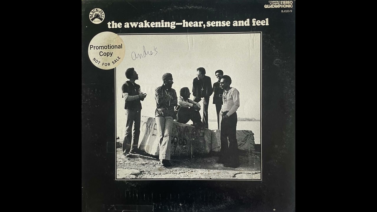 the awakening hear, sense and feel レコード Awakening / Hear, Sense And Feel (LP), Black Jazz | 中古レコード