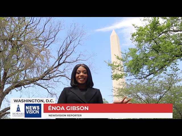 Black-Owned Businesses Thriving During The Pandemic