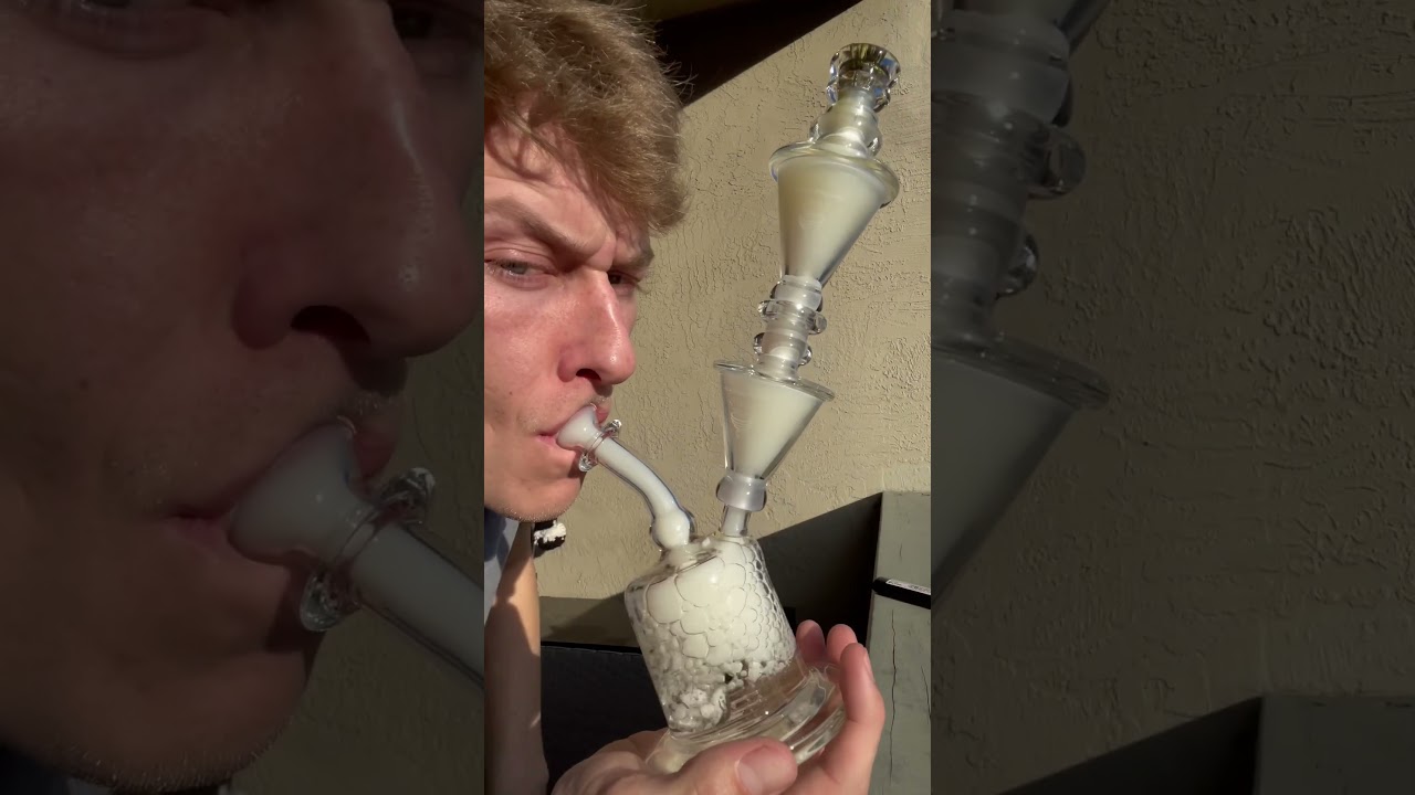 Mobius Glass Proton Matrix with 2 Snap Traps