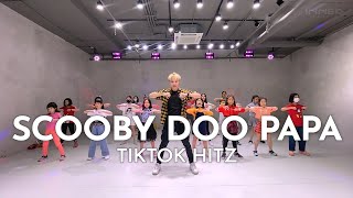 INNER KIDS I SCOOBY DOO PAPA - TIKTOK HITZ