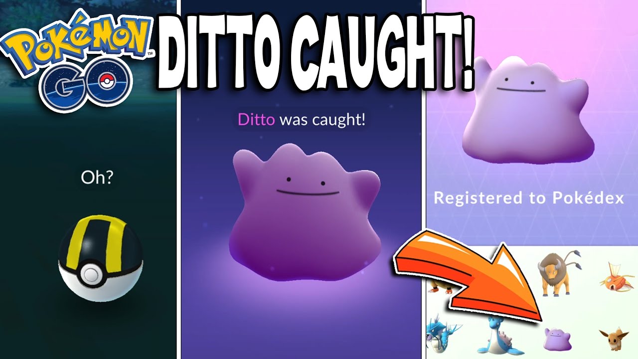 Ditto Is Live In 'Pokémon GO' And You Might Have Already Caught Him