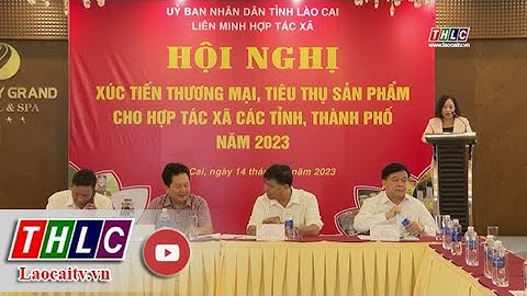 Hội nghị xúc tiến thương mại kết nối cung cầu cho các HTX 7 tỉnh khu vực Tây Bắc | THLC