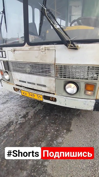 Пазик/#пазик/#паз/#автобус/#bus/#road/#truck/#водитель/#shorts/#шок/# ...
