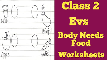 Class 2 Body Needs Food Worksheets || Class 2 Evs Worksheets ||