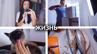 ВСЕ ГОТОВО! ПОЛУЧИЛОСЬ КАСИВО И УЮТНО! ГОТОВИМ СКУМБРИЮ, ПРО НОВИНКИ