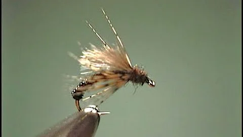 Wire Midge Emerger fly tying video by Shane Stalcup