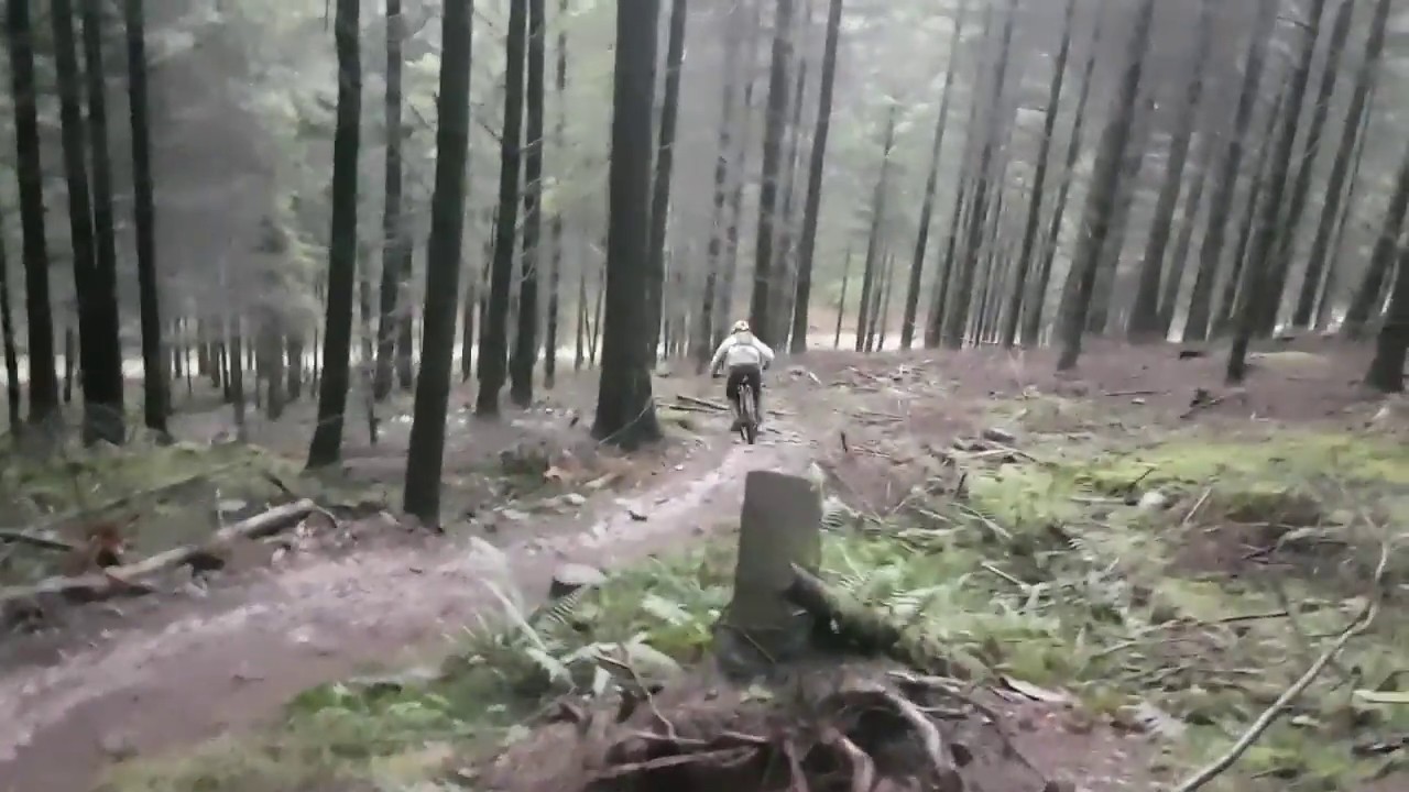 Jeffsy 27 at Triscombe Downhill