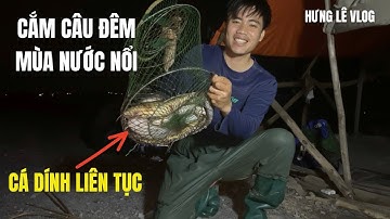 Cắm Câu Đêm Mùa Nước Nổi – Cá Dính Liên Tục Gỡ Không Kịp | Hưng Lê VLOG