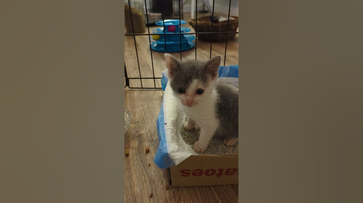 Welcome Tuddles. She likes her new home . A new journey begins