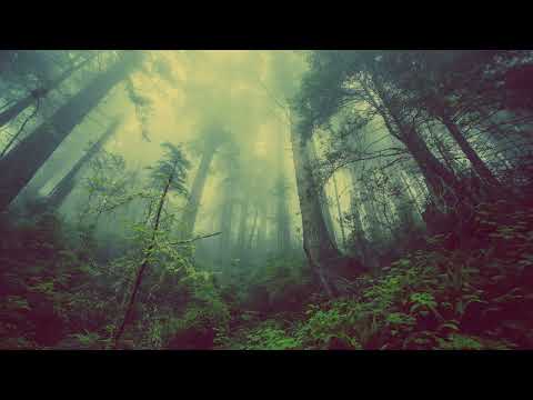 如果願意 - 饅頭妞