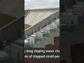 Watch how the school of fish swims along the stepped water flow.