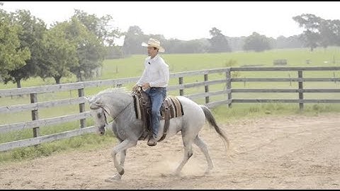 3 Minute Training Tip - Simple Lead Changes - Figure Eight