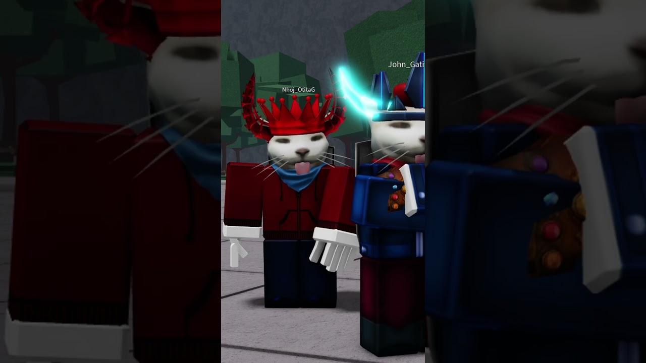 Por esto entrene a john gatito  