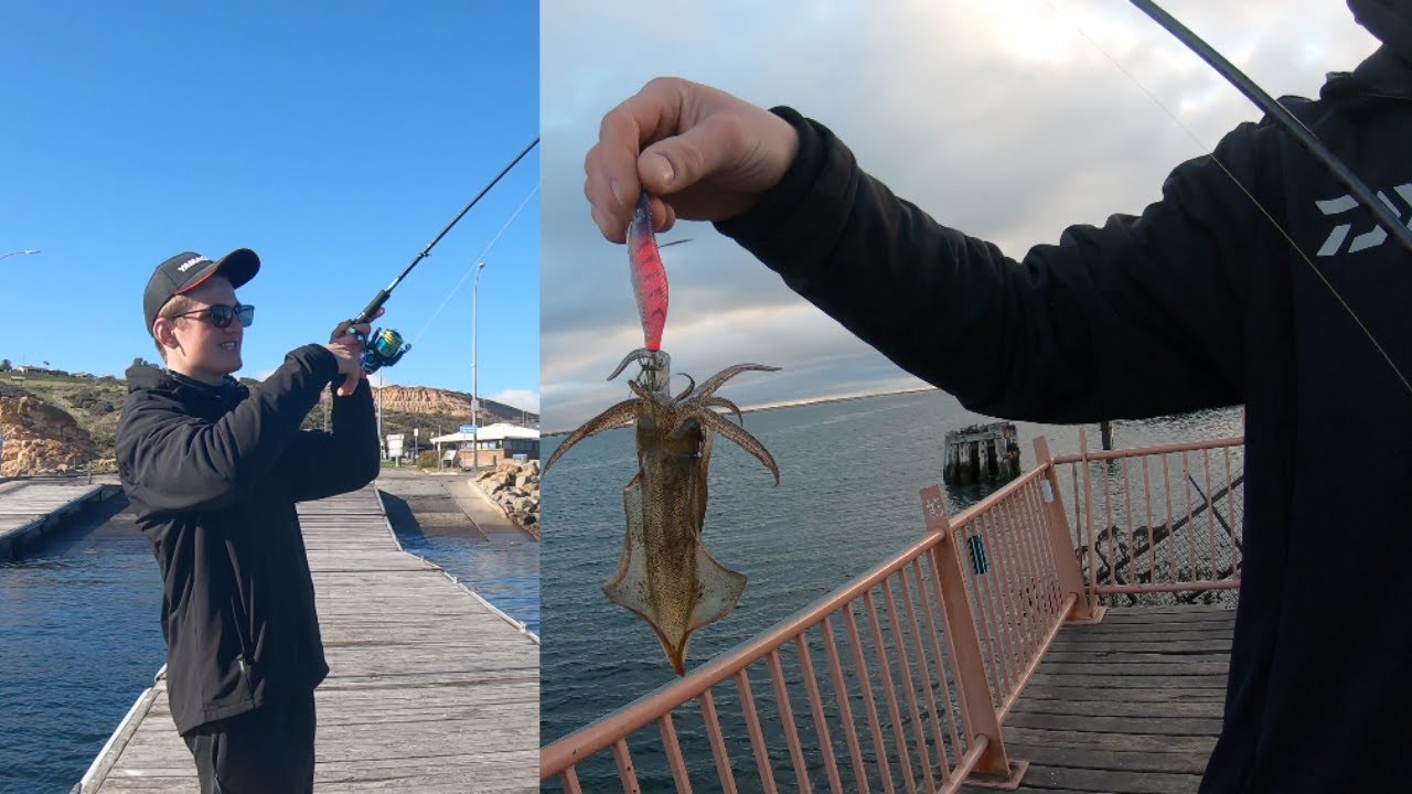 Outer Harbour and Boat Ramp Squid Fishing! South Australian Fishing. EP 3
