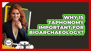 Why Is Taphonomy Important For Bioarchaeology? - Anthropology Insights