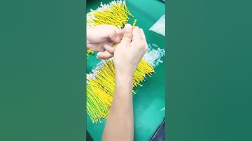 Wire Harness & Processing: Real Factory Shot Insights