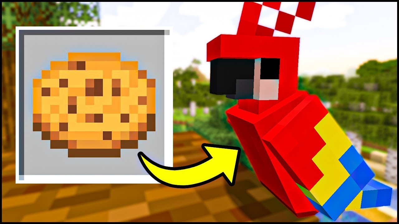 19 COSE che NON AVEVI MAI FATTO su MINECRAFT ITA - YouTube