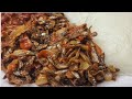 HOW TO COOK DRIED KAPENTA MATEMBA MALAWIAN FOOD HOW TO COOK DRIED KAPENTA MATEMBA MALAWIAN FOOD