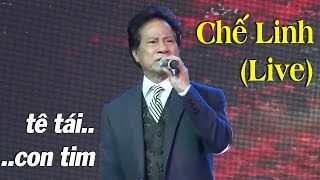 10 Năm Tình Cũ - Chế Linh (Live) | Nghe mà tê tái con tim