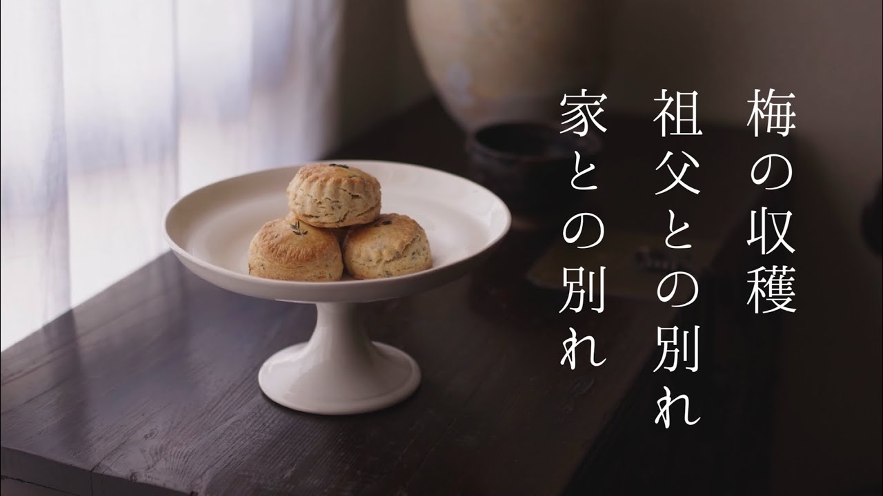 【日々の暮らし】梅の収穫 / 祖父との別れ、家との別れ /