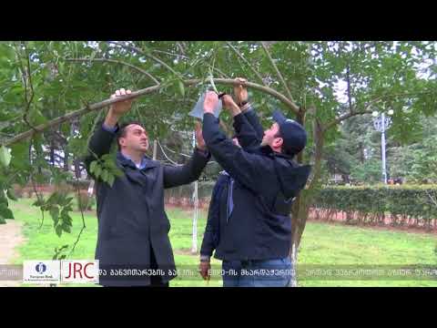 ფერომონები თბილისშიც დამონტაჟდება 04.04.2018