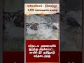ஒகேனக்கல் நீர்வரத்து 9,000 கனஅடியாக உயர்வு | Water inflow at Hogenakkal rises | Cauvery | Sunnews