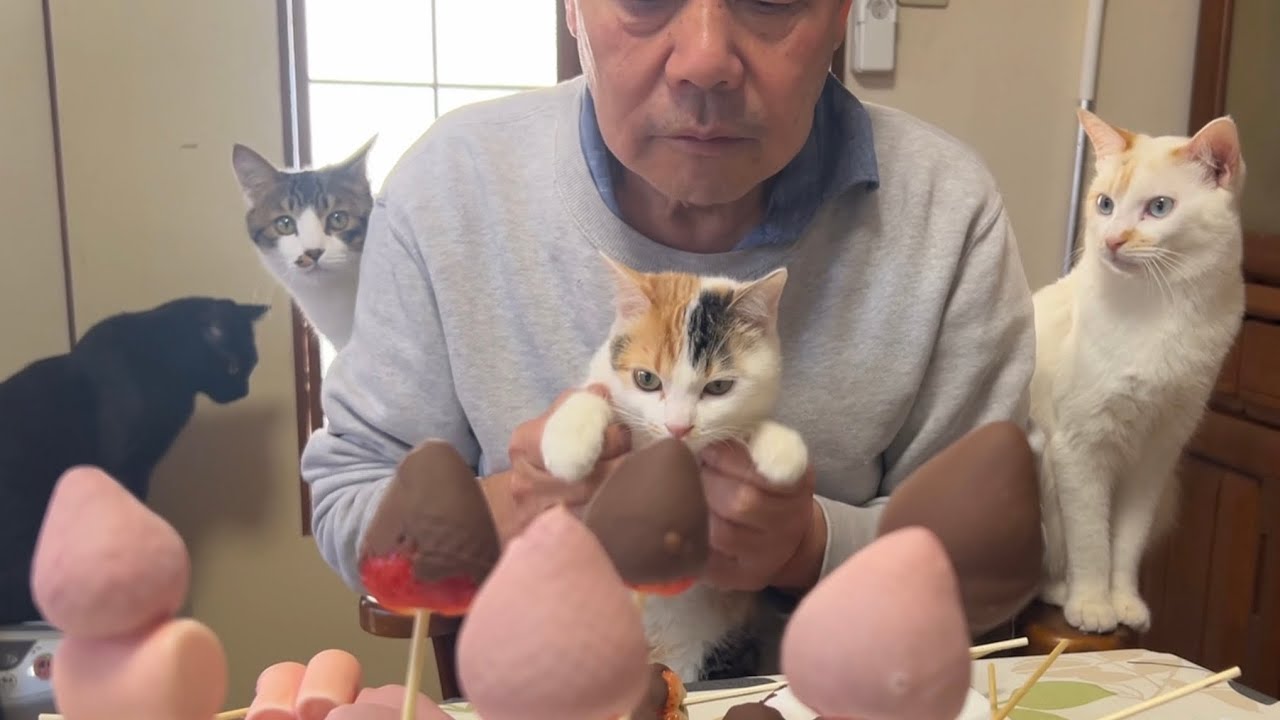 【バレンタイン】チョコいちご🍫🍓おいしくできたのか⁉️