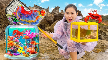 Changcady và bạn Nhím thi trang trí bể cá, bể cá lego và bể cá hình bầu dục