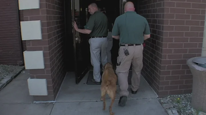 Scent detection dog helps you find what you don't want to look for